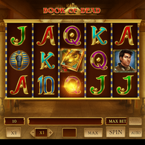 TheStakeHouse - Book of Dead Slot Game - Play'n GO Pokie